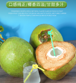 海南椰子泰国椰子广告录音